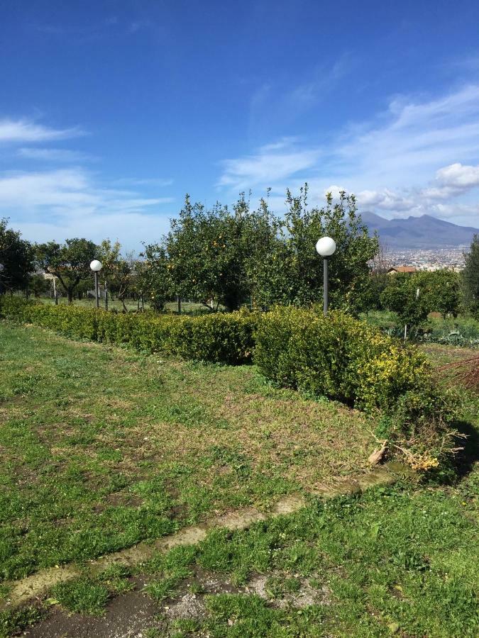 Desiderio D'Ammore Villa Corbara  Eksteriør billede